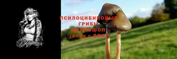 бошки Переславль-Залесский